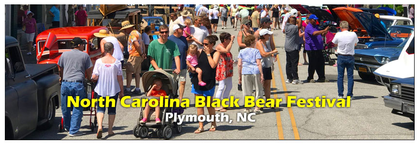 NC Black Bear Festival
